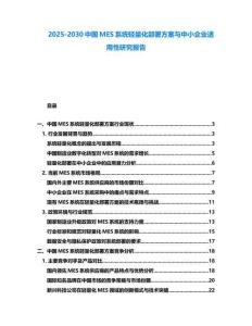 2025-2030中國MES系統(tǒng)輕量化部署方案與中小企業(yè)適用性研究報(bào)告