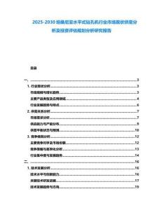 2025-2030坦桑尼亞水平式鉆孔機行業市場現狀供需分析及投資評估規劃分析研究報告
