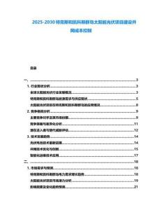 2025-2030特克斯和凱科斯群島太陽能光伏項目建設并網成本控制