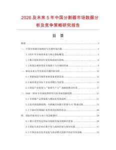 2026及未來5年中國分割器市場數據分析及競爭策略研究報告