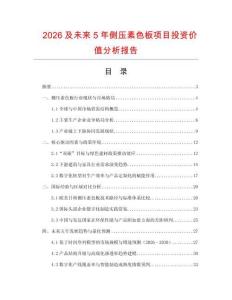 2026及未來5年側壓素色板項目投資價值分析報告