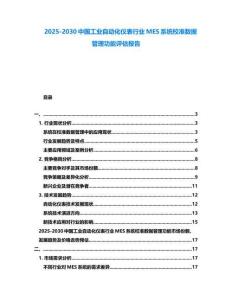 2025-2030中國工業自動化儀表行業MES系統校準數據管理功能評估報告