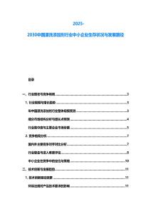 2025-2030中國漂洗添加劑行業(yè)中小企業(yè)生存狀況與發(fā)展路徑