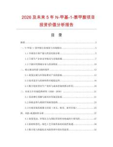 2026及未來5年N-甲基-1-萘甲胺項目投資價值分析報告