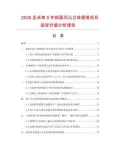 2026及未來5年斜面凹凸立體便箋項目投資價值分析報告