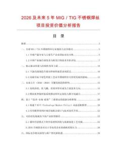 2026及未來5年MIG／TIG不銹鋼焊絲項目投資價值分析報告