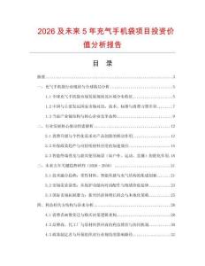 2026及未來(lái)5年充氣手機(jī)袋項(xiàng)目投資價(jià)值分析報(bào)告