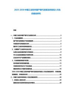 2025-2030中國工業軟件國產替代進度及研發投入與生態建設研究