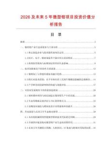 2026及未來5年微型鉗項目投資價值分析報告