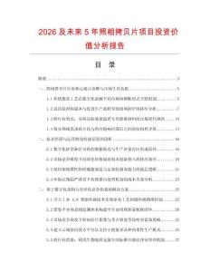 2026及未來5年照相拷貝片項目投資價值分析報告