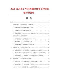 2026及未來5年夾柄螺絲批項目投資價值分析報告