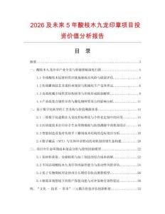 2026及未來5年酸枝木九龍印章項目投資價值分析報告