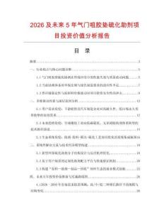 2026及未來5年氣門咀膠墊硫化助劑項目投資價值分析報告