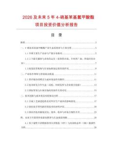 2026及未來5年4-硝基苯基氯甲酸酯項目投資價值分析報告