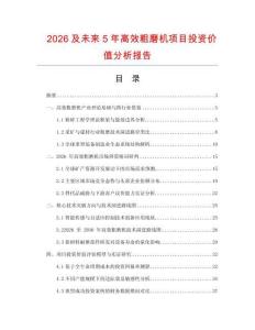 2026及未來5年高效粗磨機(jī)項(xiàng)目投資價(jià)值分析報(bào)告