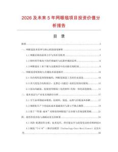 2026及未來5年網眼毯項目投資價值分析報告