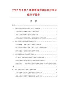 2026及未來5年管道清潔球項(xiàng)目投資價(jià)值分析報(bào)告