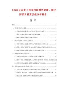 2026及未來5年有機硅耐熱底漆／固化劑項目投資價值分析報告