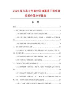 2026及未來5年高效無堵塞液下泵項目投資價值分析報告