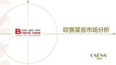 （33頁PPT）歐賽斯兒某省市場研究報告