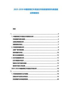 2025-2030中國民用紅外測溫儀市場容量預測與渠道建設策略報告
