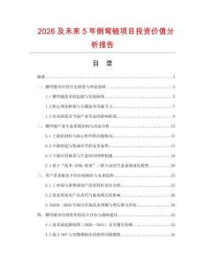 2026及未來(lái)5年側(cè)彎鏈項(xiàng)目投資價(jià)值分析報(bào)告