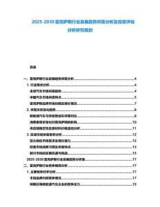 2025-2030雷克薩斯行業發展趨勢供需分析及投資評估分析研究規劃