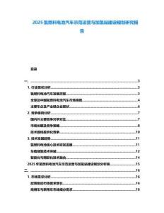 2025氫燃料電池汽車示范運營與加氫站建設規劃研究報告