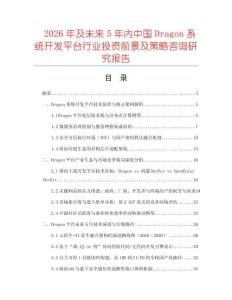 2026年及未來5年內中國Dragon系統開發平臺行業投資前景及策略咨詢研究報告
