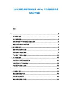 2025云原生網絡功能虛擬化（NFV）產業化路徑與商業布局分析報告