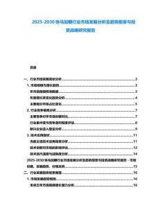 2025-2030快馬加鞭行業(yè)市場發(fā)展分析及趨勢前景與投資戰(zhàn)略研究報告