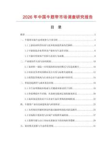 2026年中國牛筋帶市場調查研究報告