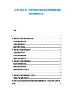 2025-2030說一說褐色海洋行業(yè)市場(chǎng)現(xiàn)狀調(diào)研分析規(guī)劃發(fā)展準(zhǔn)備投資綜述