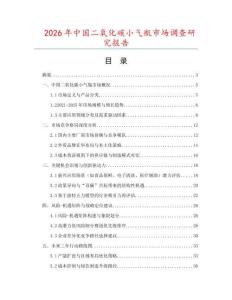 2026年中國二氧化碳小氣瓶市場調(diào)查研究報告