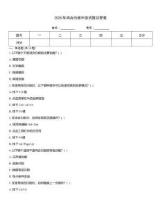 2025年鴻合白板中級試題及答案