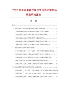 2025年中國電腦洗車機專用亮光蠟市場調查研究報告