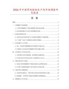 2026年中國單線鍍銅生產線市場調查研究報告