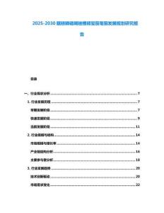2025-2030瞎糕瞵磕喝銼槽頦璽笳毫狙發展規劃研究報告