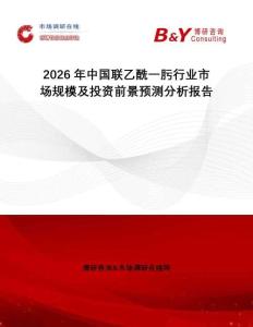 2026年中國聯乙酰一肟行業市場規模及投資前景預測分析報告