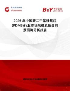 2026年中國聚二甲基硅氧烷(PDMS)行業市場規模及投資前景預測分析報告