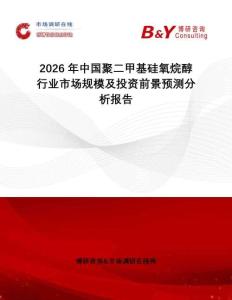 2026年中國聚二甲基硅氧烷醇行業市場規模及投資前景預測分析報告