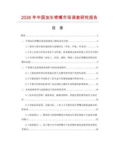2026年中國加長噴嘴市場調查研究報告