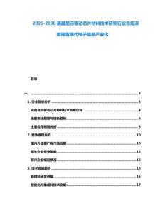 2025-2030液晶顯示驅動芯片材料技術研究行業(yè)市場深度報告現(xiàn)代電子信息產業(yè)化