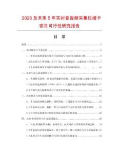 2026及未來5年實時音視頻采集壓縮卡項目可行性研究報告