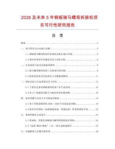 2026及未來5年鋼板騎馬螺母拆裝機項目可行性研究報告