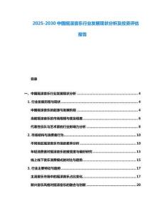 2025-2030中國搖滾音樂行業發展現狀分析及投資評估報告