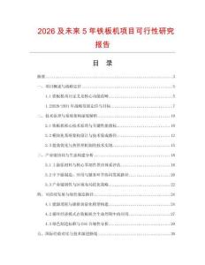 2026及未來5年鐵板機項目可行性研究報告