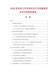 2026及未來5年無紡布五片式拉鏈袋項目可行性研究報告