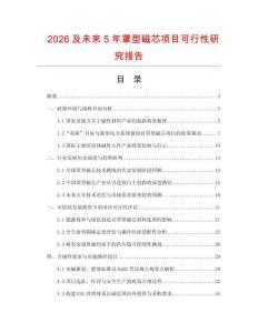 2026及未來5年罩型磁芯項(xiàng)目可行性研究報(bào)告