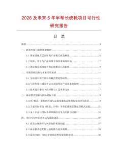 2026及未來5年半幫長統靴項目可行性研究報告